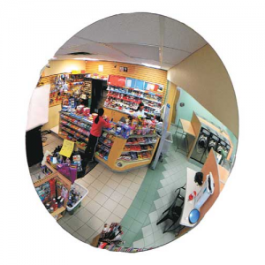 Extreme Vision Wall Mount Indoor Convex Mirror